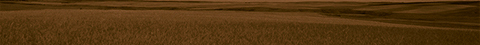 Horizont_4.jpg