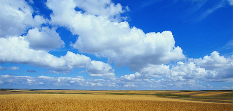 Sonnenstand_8.jpg