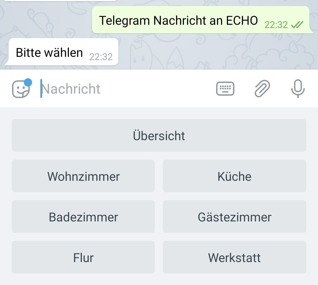 Nachricht an ECHO.jpg