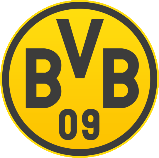 bvb1.png