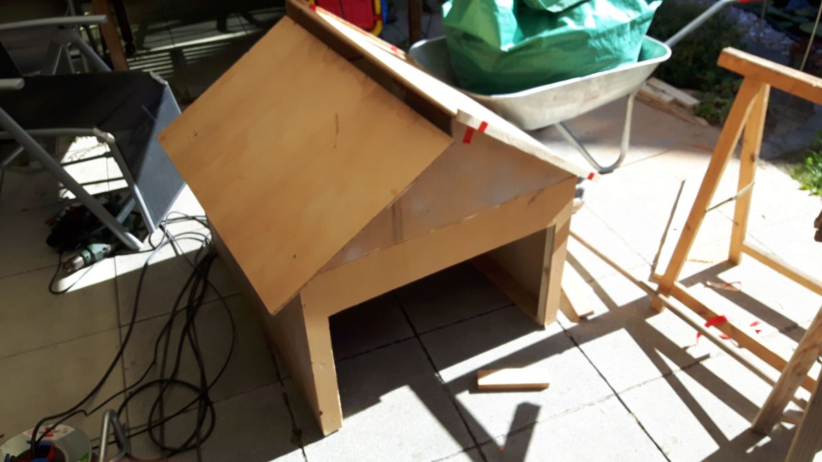 20200731_170239.jpg