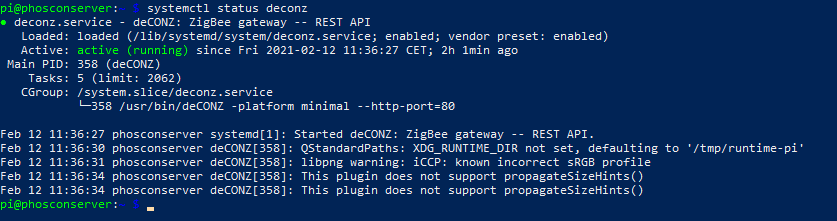 deconz-info 1.png