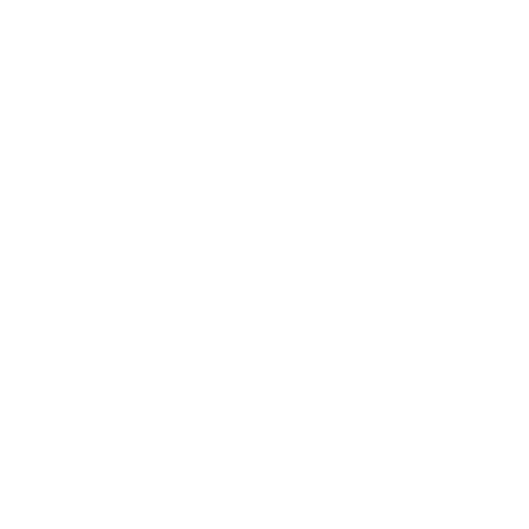 roborock_reset.png