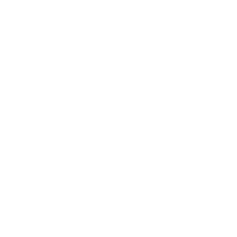 vis.0_Garage_offen_Auto.png