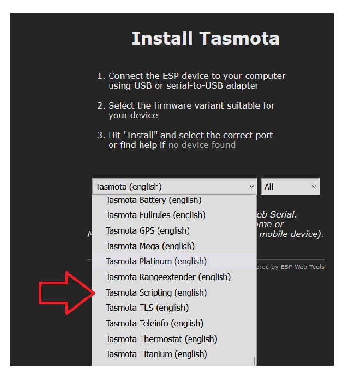 Tasmota Install.jpg