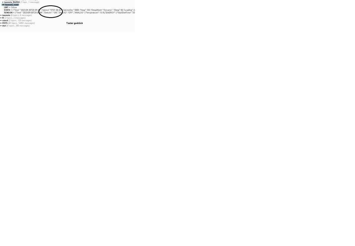bild.png
