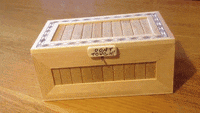 200w.gif