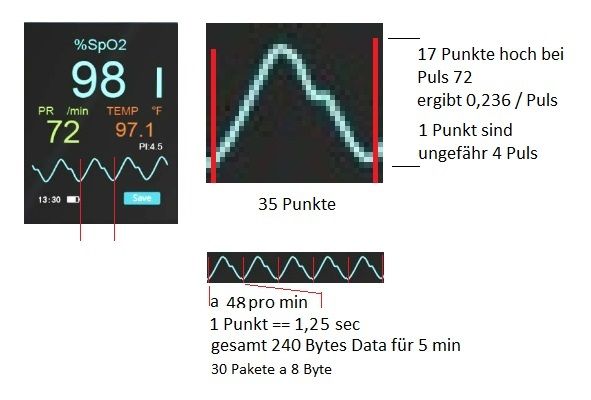 Puls 1.jpg