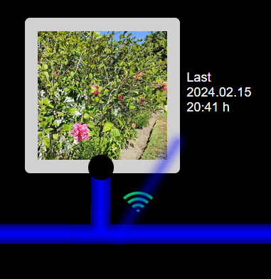 5927d798-ff1d-4a22-a7e1-b6b4f3e0fe68-grafik.png