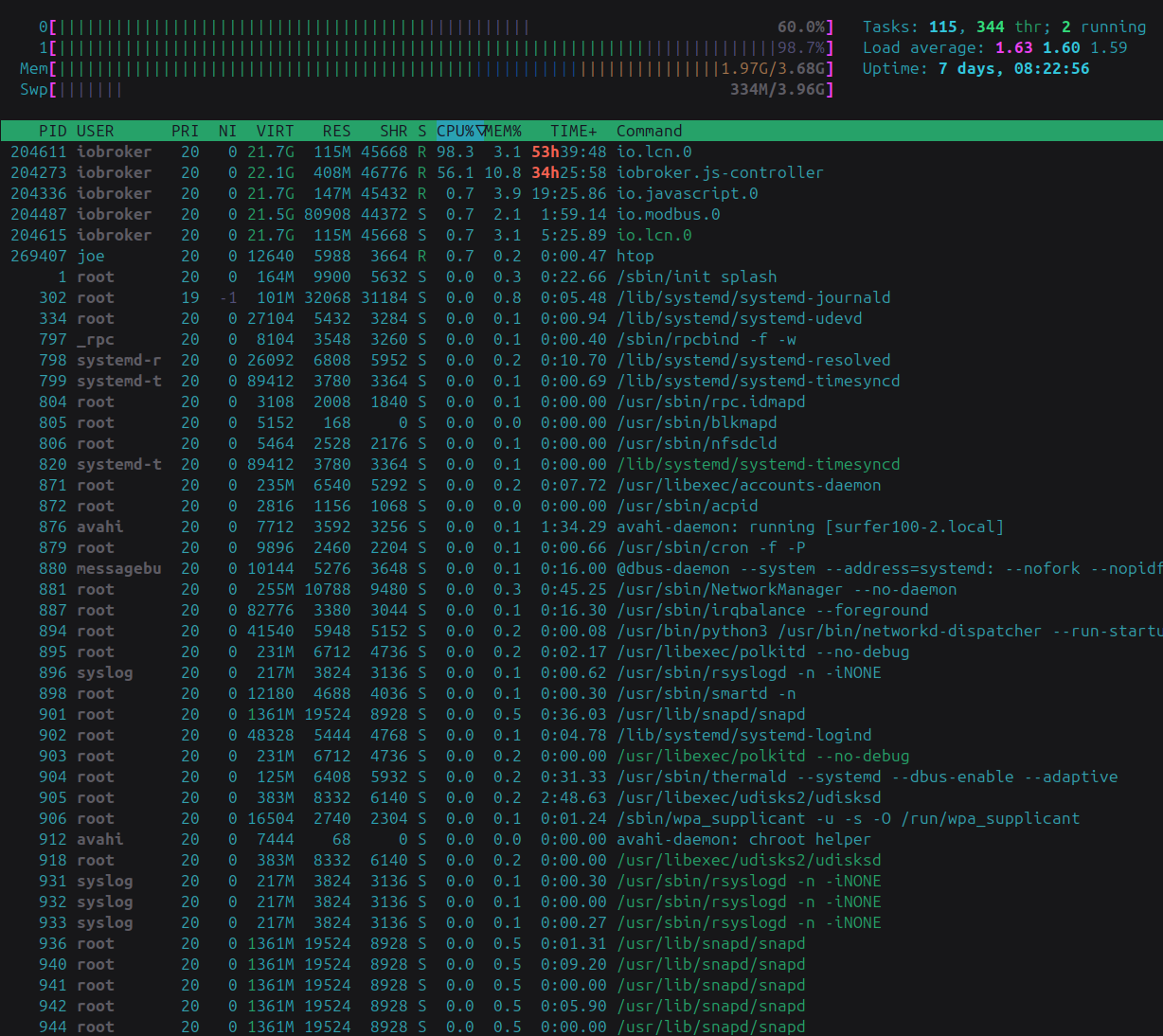 htop surfer100 mit LCN 2024-09-13 19-02-01.png