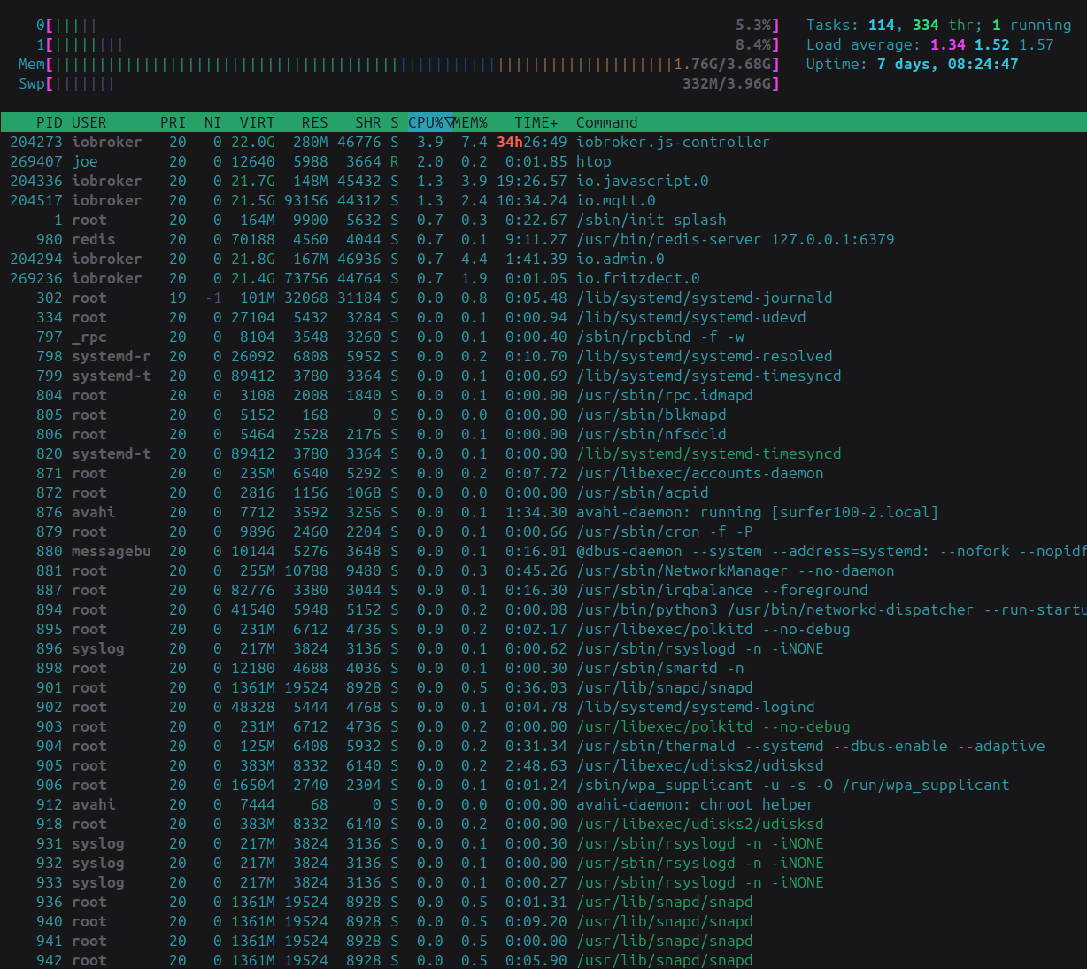 htop surfer100 ohne LCN 2024-09-13 19-03-32.png