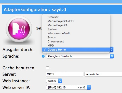 261_google_home_sayit.png