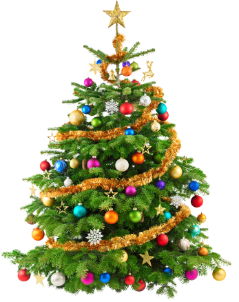 513_tanenbaum.png