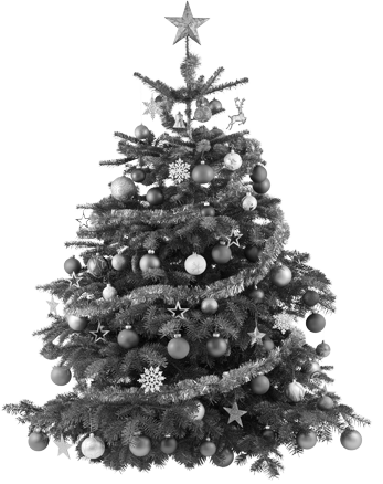 513_tanenbaum_blak.png