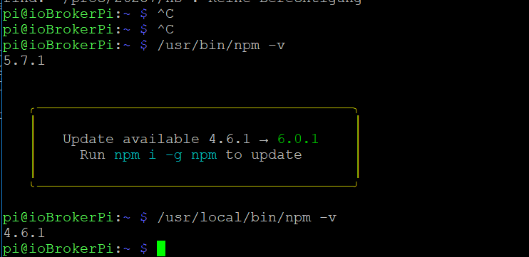 7202_npm-installationen-1.png